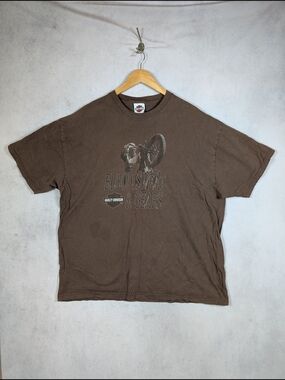 Harley-Davidson Graphic T-Shirt Men's Size 2XL Blood Sweat & Gears Eagle Dallas